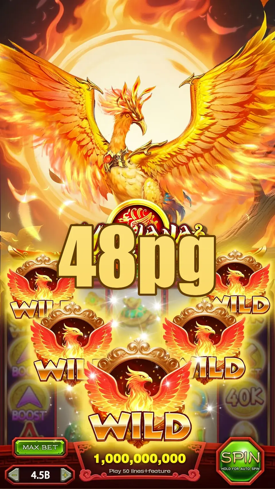 48pg Login
